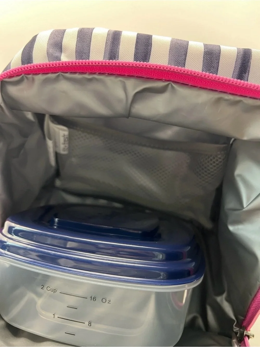 NEW Fit + Fresh Striped Lunch Tote Bag Antimicrobial w/ Snack Container